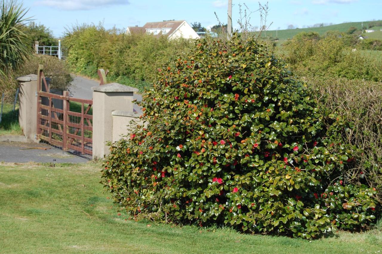 Ballyrusley B&B Portaferry Exterior photo